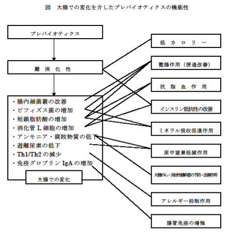 大腸での変化を介したプレバイオティクスの機能性